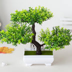 Green Table Plant in Pot – Atmospheric Table Decoration for Every Season
