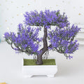 Green Table Plant in Pot – Atmospheric Table Decoration for Every Season