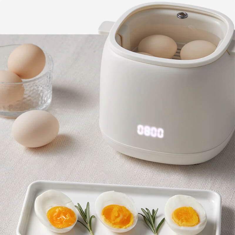 EggMaster Perfectly Cooked Eggs