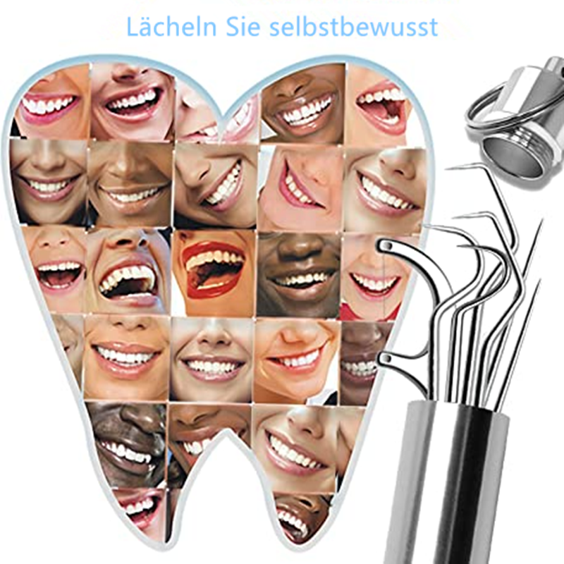 Toothpick set made of stainless steel (7 pcs)