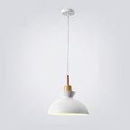 AuroraLite Nordic Pendant Light | Metal Design | 1-Light | Modern Color Options