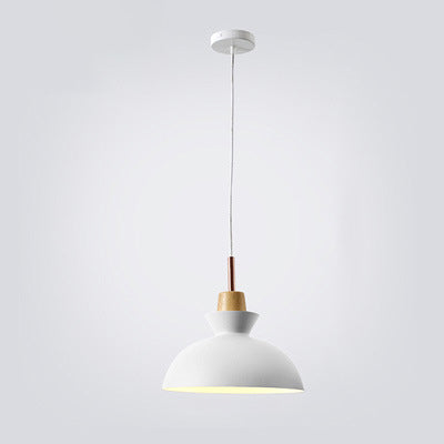 AuroraLite Nordic Pendant Light | Metal Design | 1-Light | Modern Color Options