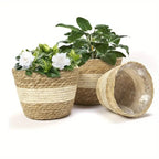 Decorative plant baskets made of seagrass in a set of 3 – Handwoven flower pots with foil insert