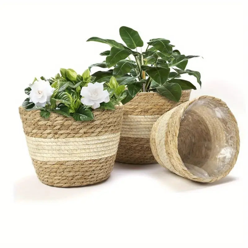 Decorative plant baskets made of seagrass in a set of 3 – Handwoven flower pots with foil insert