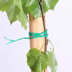 Garden Wire Twist Band – 50m Roll for Plants and Gardening