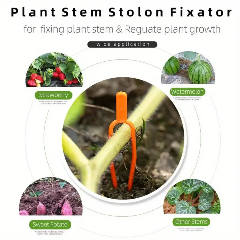 Garden plants support clamps made of plastic for optimal plant stability