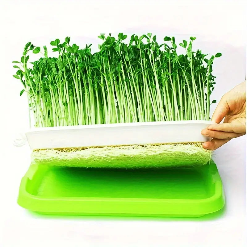 Germination trays with lid – Double-layer seed sowing tray for effective seed germination