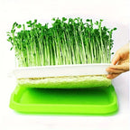 Germination trays with lid – Double-layer seed sowing tray for effective seed germination