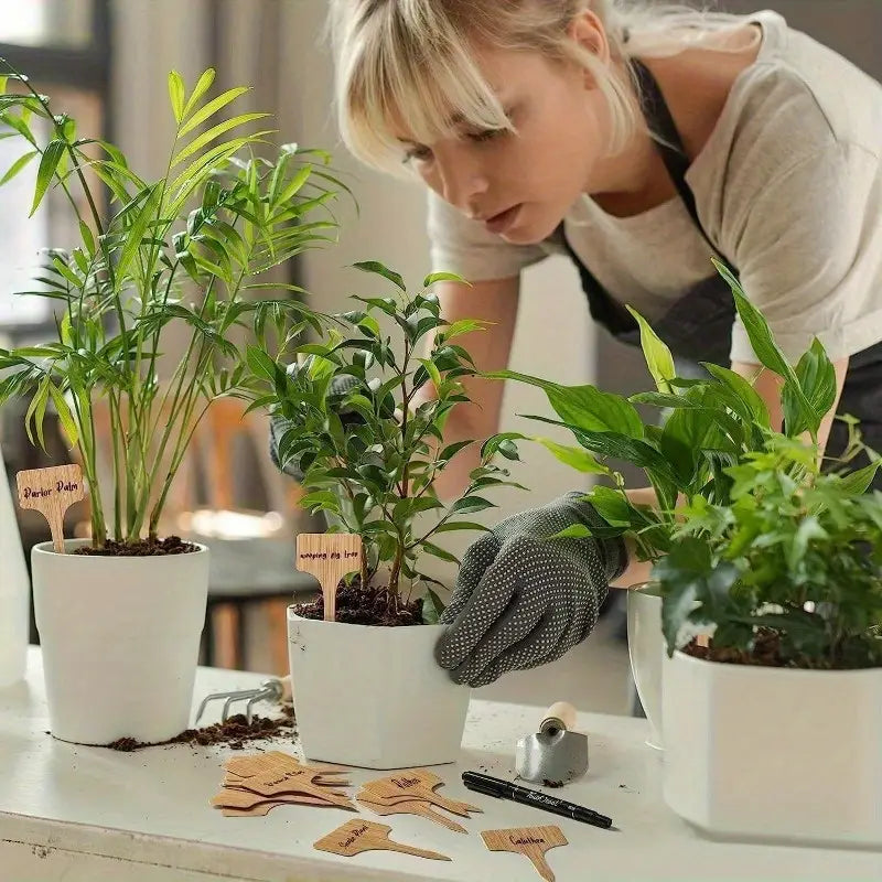 Plant labels made of wood for garden and balcony – Rewritable labels for herbs and plants