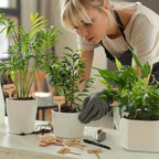 Plant labels made of wood for garden and balcony – Rewritable labels for herbs and plants