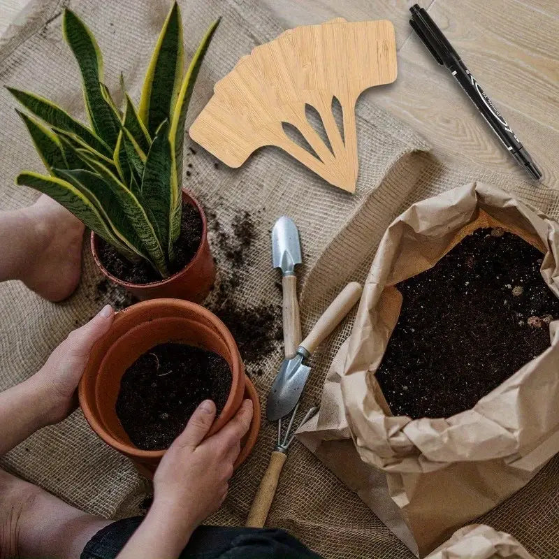 Plant labels made of wood for garden and balcony – Rewritable labels for herbs and plants