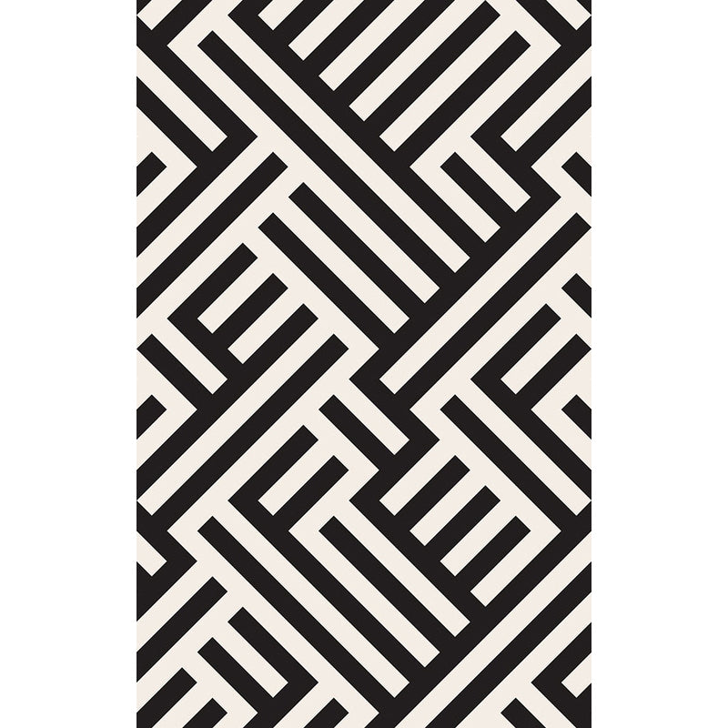 Modern Striped Pattern Carpet Black and White Polyester Carpet Washable Pet Friendly Non-Slip Area Rug for Living Room