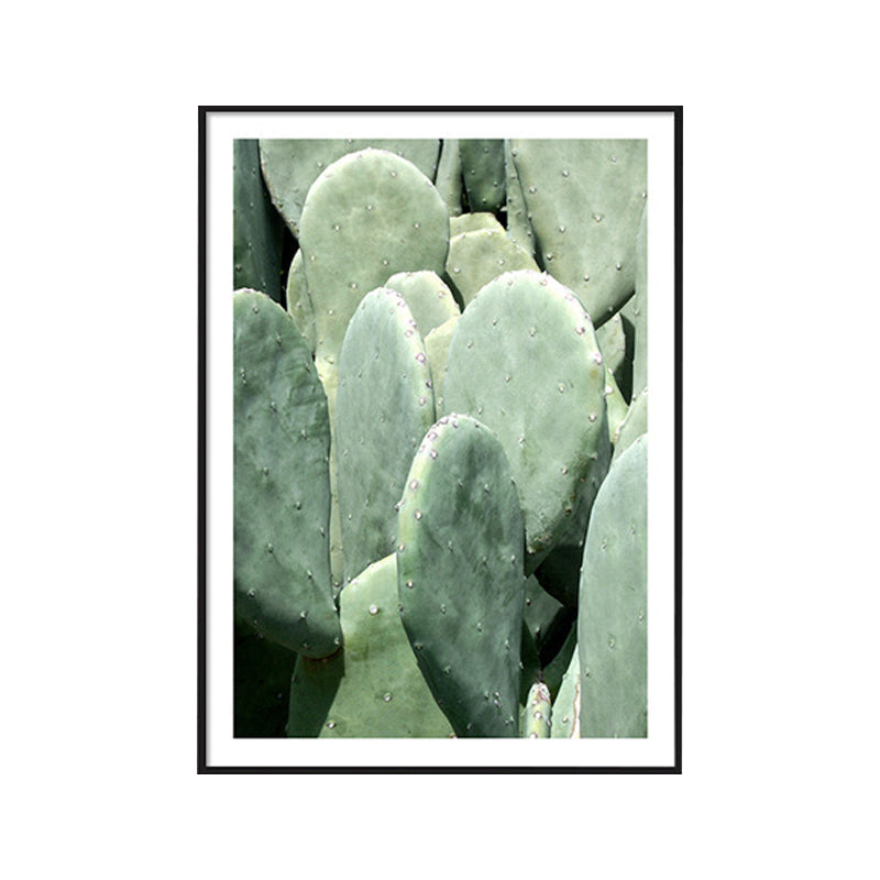 Cactus Signs Soft Color Canvas Wall Art Print Texture, Multiple Size Options