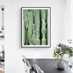 Cactus Signs Soft Color Canvas Wall Art Print Texture, Multiple Size Options