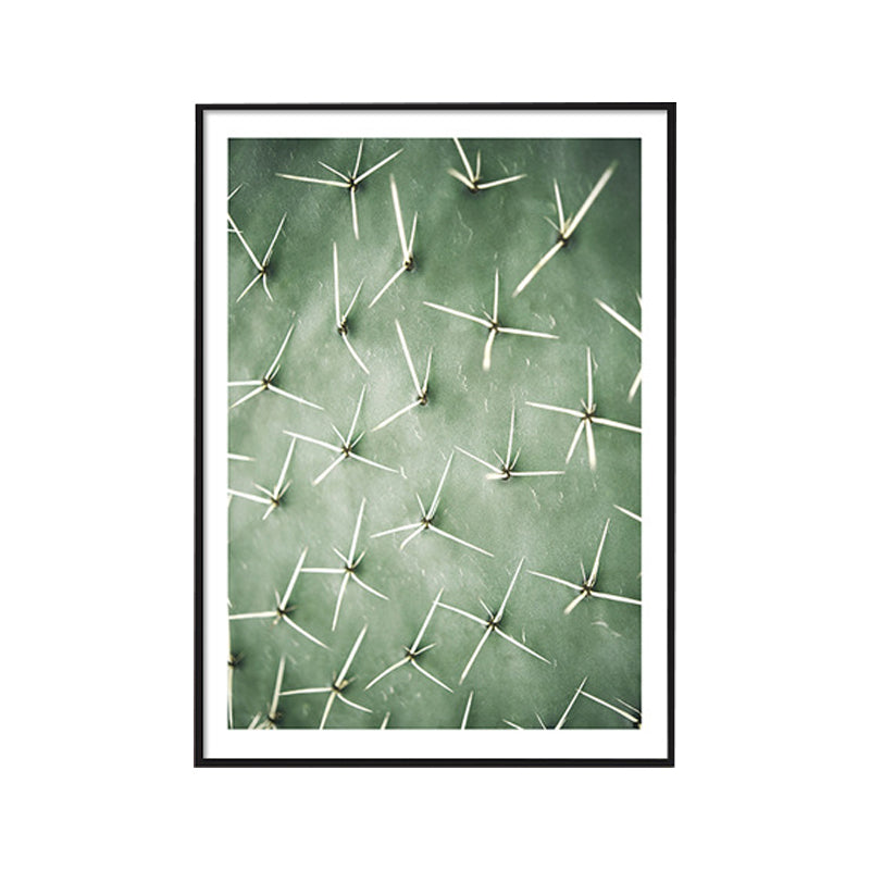 Cactus Signs Soft Color Canvas Wall Art Print Texture, Multiple Size Options