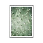 Cactus Signs Soft Color Canvas Wall Art Print Texture, Multiple Size Options