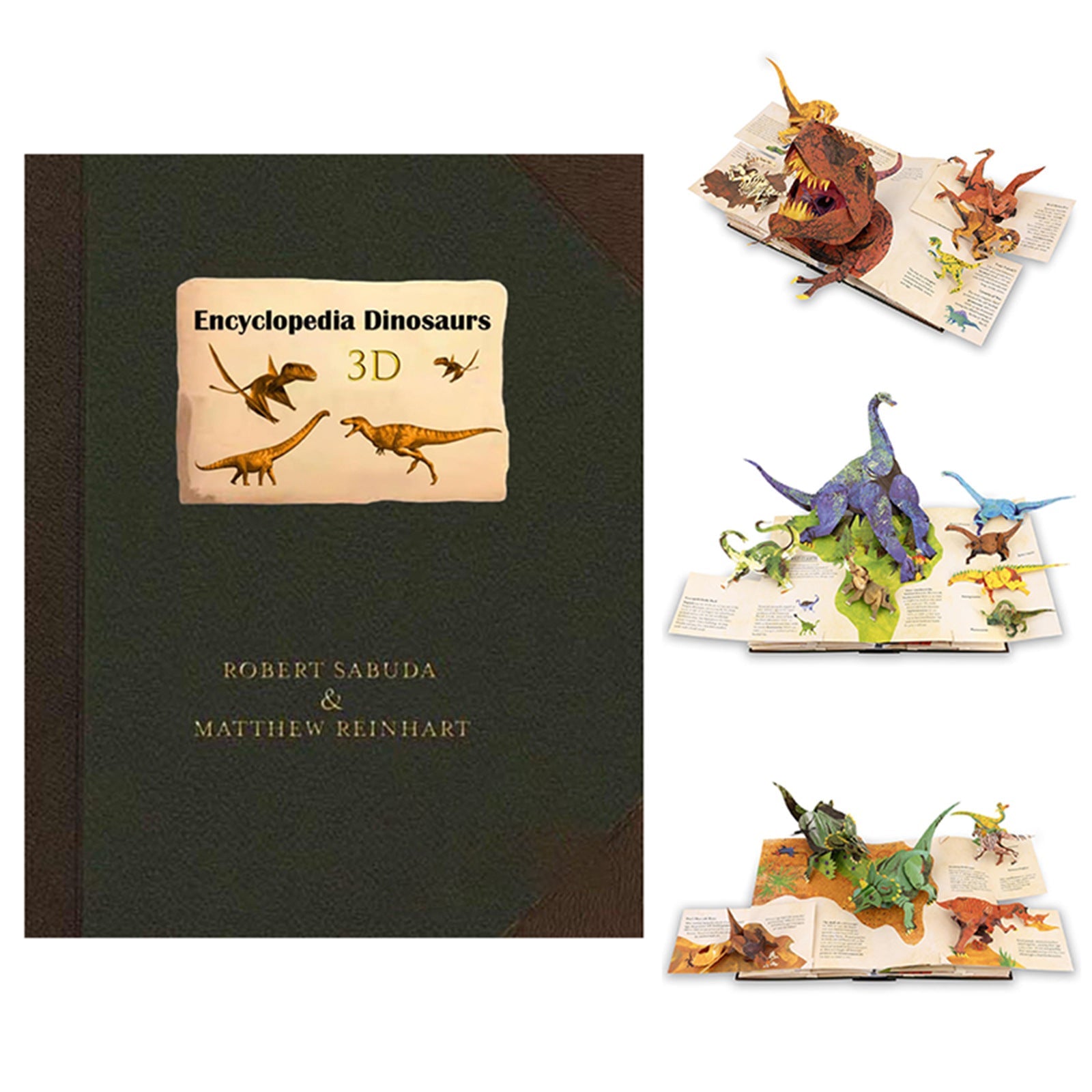 丨 Dinosaur Encyclopedia