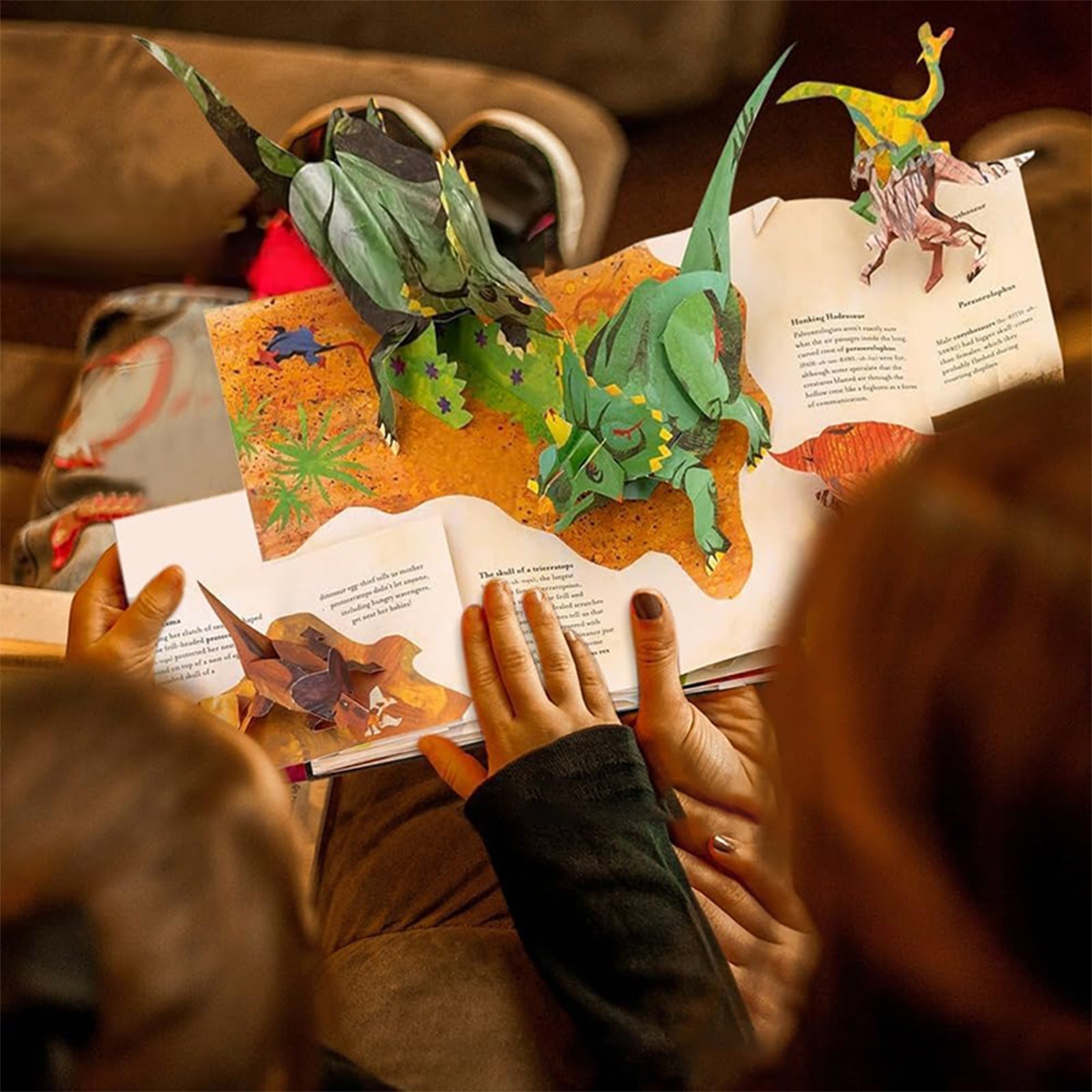 丨 Dinosaur Encyclopedia
