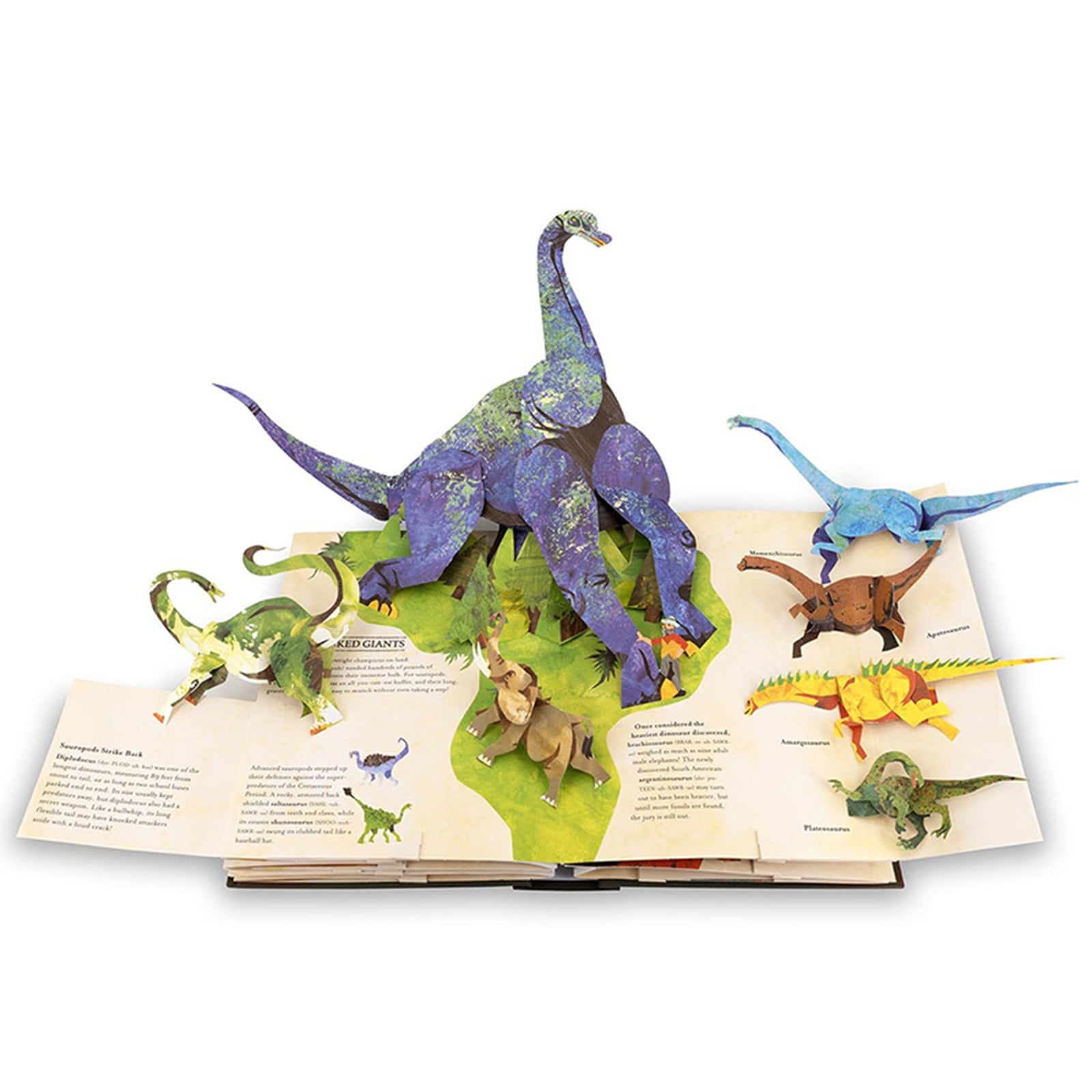 丨 Dinosaur Encyclopedia