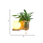 Wood Globe/Cylinder Wall Sconce Nordic Cream Glass 1 Light Bedroom Wall Lamp with Plant Pot and Pull Chain