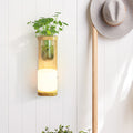 Nordic Cylinder Wall Lamp 1-Head Opal Glass Wall Lighting in Wood with Clear Glass Plant Cup