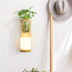 Nordic Cylinder Wall Lamp 1-Head Opal Glass Wall Lighting in Wood with Clear Glass Plant Cup