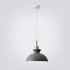 AuroraLite Nordic Pendant Light | Metal Design | 1-Light | Modern Color Options