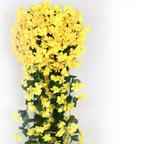 PlantGlow – Natural elegance, permanently fresh [Last day discount]