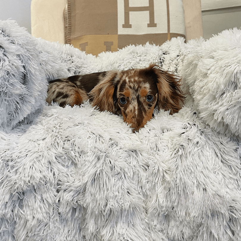 Water Repellent Dog Bed Protection with Soft Vegan Fur – Non-slip, Comfortable, Suitable for All Dog Sizes