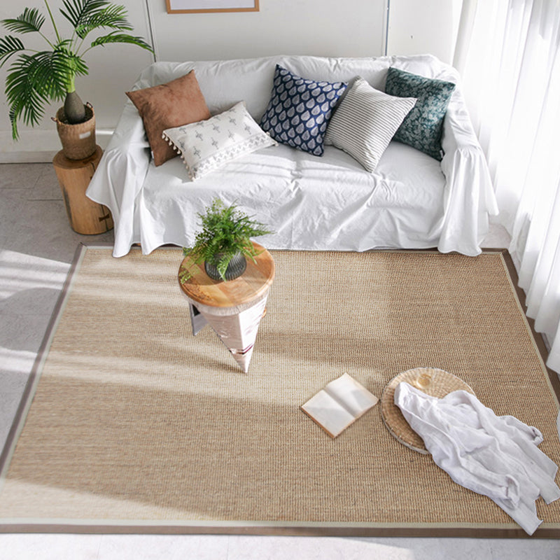 Simple Rustic Carpet Brown Solid Carpet Washable Pet Friendly Non-Slip Back Rug for the Living Room