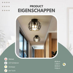 Modern Loft-style Ceiling Lamp with Open Cage Design