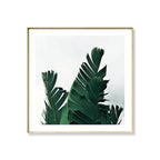Green Banana Leaves Canvas Print Botanical Tropix Textured Wall Art for the Dining Room