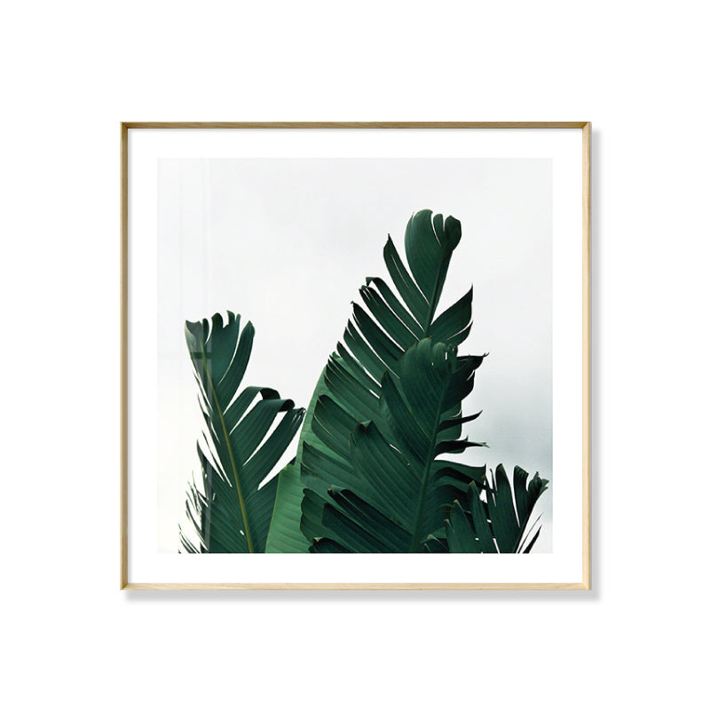Green Banana Leaves Canvas Print Botanical Tropix Textured Wall Art for the Dining Room
