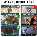 Stay Connected: pet locator collar