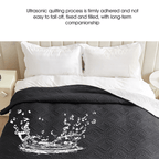 Versatile Moisture-Proof Dog Mat