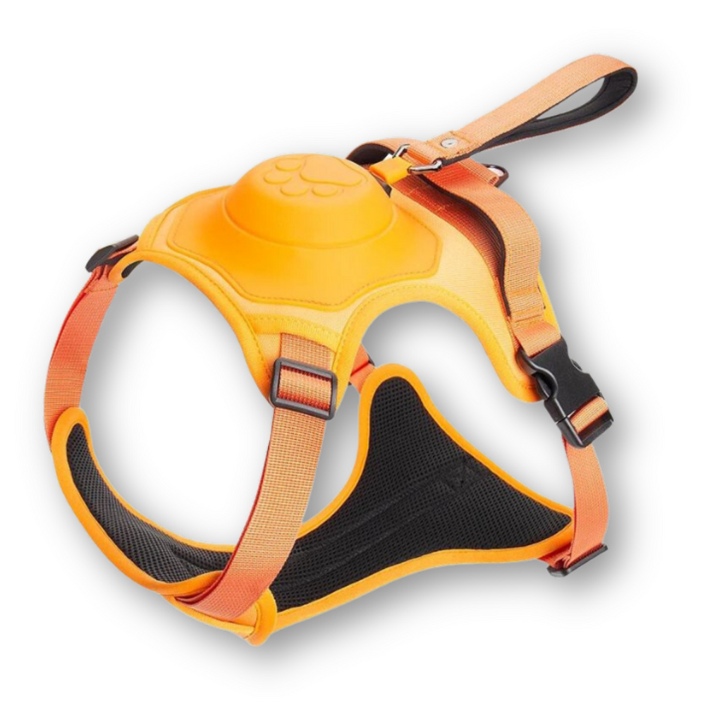 FlexiHarness – Comfortable 2-in-1 Dog Harness with Leash