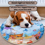 FelineSplash — Unleash your cat's wild hunting joy without chaos and stress!
