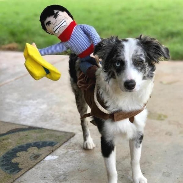 The Cowboy Rider Dog Costume