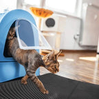 StreuChampion — Finally a cozy clean home without cat litter chaos!