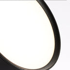 LED Ceiling Light with Adjustable Spotlight Head