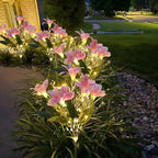 Everbloom Solar Flower Lights
