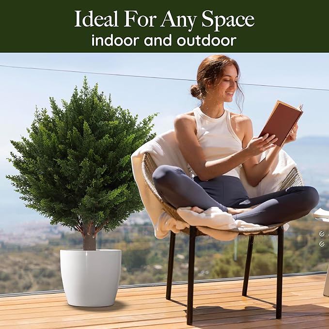 VivaCedar — Bring permanent vibrant freshness and style into your space – completely hassle-free!