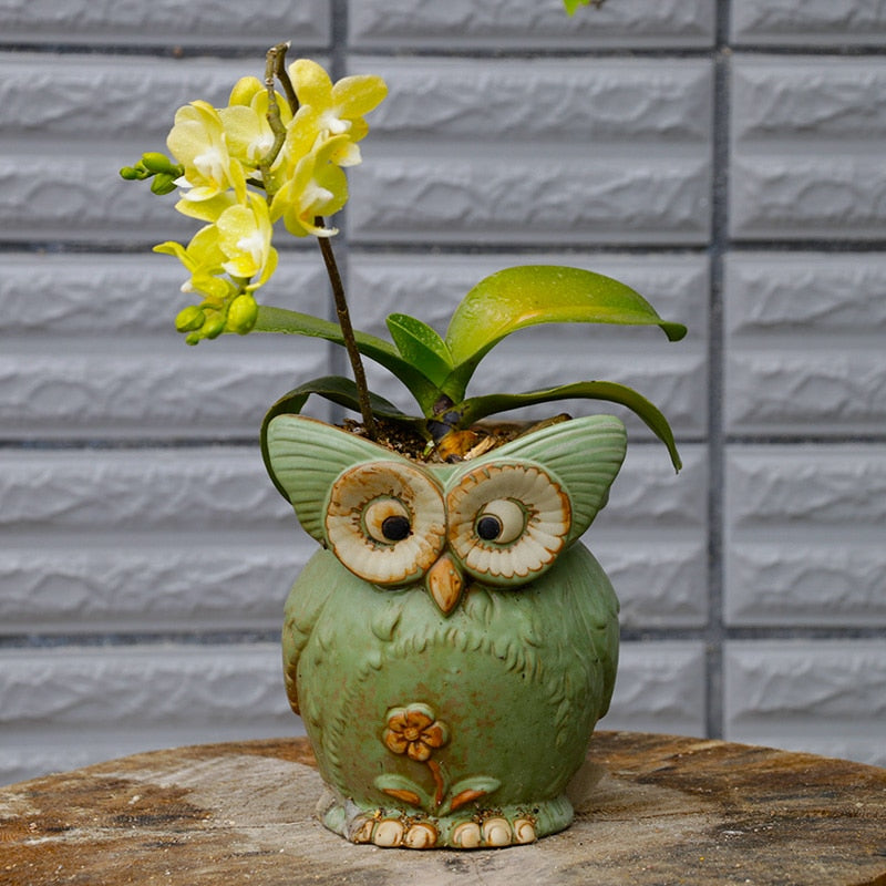 Modern Decorative Flower Pot with Owl Design