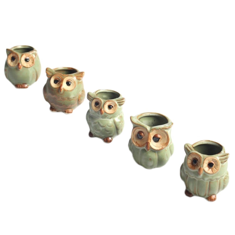 Modern Decorative Flower Pot with Owl Design