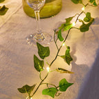Solar Rattan LED Lights