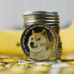 UV Color Print Dogecoin Commemorative Coin