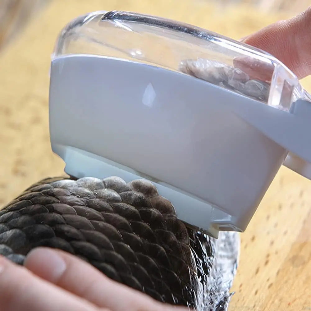 Fish scale remover with catch lid