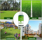 Ready-to-Use Hydroseed Lawn Repair Formula with Up to 40 m² Coverage