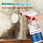 High-Performance Anti-Mold Foam Spray – Deep Cleaning & PRedection
