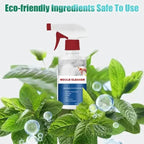 High-Performance Anti-Mold Foam Spray – Deep Cleaning & PRedection
